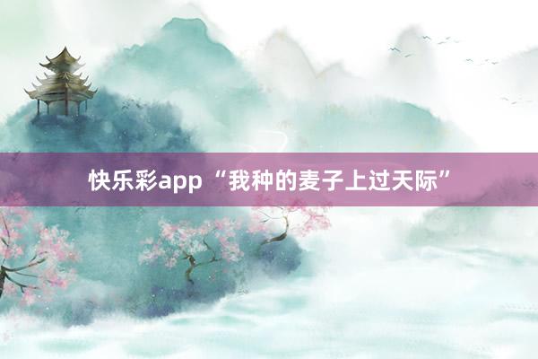 快乐彩app “我种的麦子上过天际”