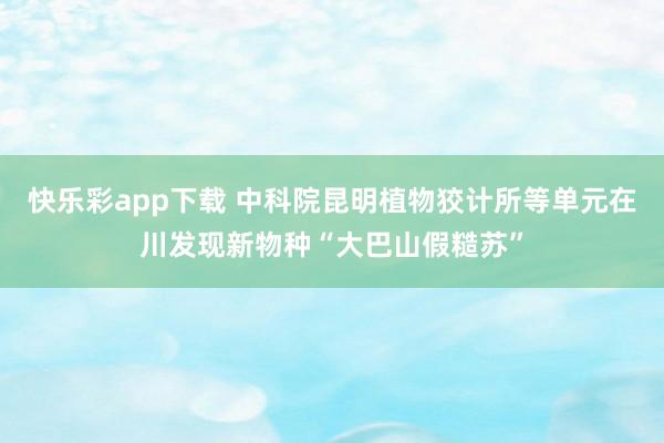 快乐彩app下载 中科院昆明植物狡计所等单元在川发现新物种“大巴山假糙苏”