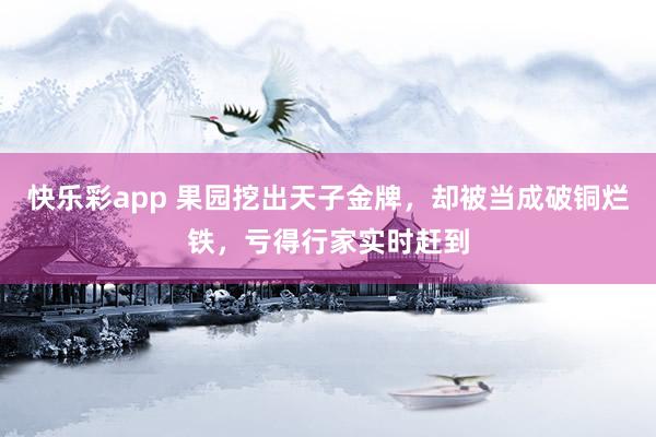快乐彩app 果园挖出天子金牌，却被当成破铜烂铁，亏得行家实时赶到