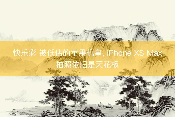 快乐彩 被低估的苹果机皇， iPhone XS Max拍照依旧是天花板